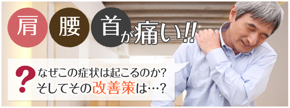 トップページ - nao鍼灸整骨院｜RYUカイロプラクティックオフィス